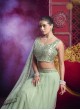 Light Pista Premium Net Silk with Sequin Work Flairy Vol-01 14001