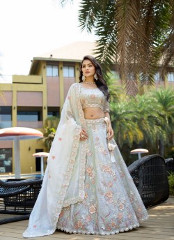 Light Grey Fendy Silk Organza Lehenga Choli | Occasion Vol-12 5049