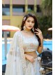 Light Grey Fendy Silk Organza Lehenga Choli | Occasion Vol-12 5049
