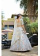 Light Grey Fendy Silk Organza Lehenga Choli | Occasion Vol-12 5049