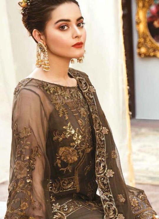 Brown Georgette Net Party Wear Pakistani Suits Rosemeen Carnival 41001 By Fepic SC/015612