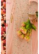 Peach Net Skirt Kameez Nitya Vol-122 2203 By Lt Fabrics