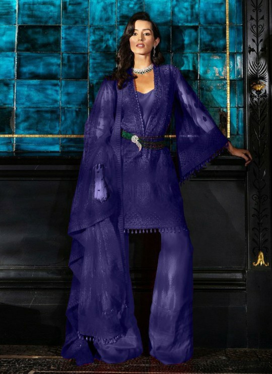 Blue Net Party Wear Pakistani Suit SC/017130