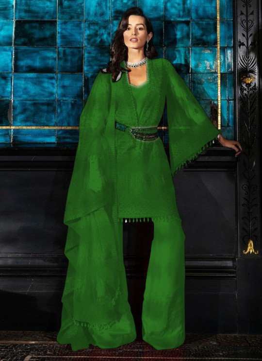 Green Net Party Wear Pakistani Suit SC/017170