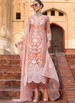 Peach Net Designer Pakistani Suit SC/017174