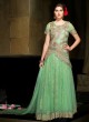 Green Net Gown Style Anarkali Sybella-24