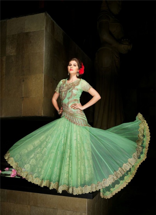 Green Net Gown Style Anarkali Sybella-24