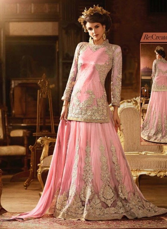 Pink Net Skirt Kameez Sybella-65 Pink Net Skirt Kameez Sybella-65