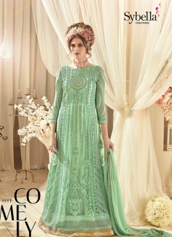 Green Net Floor Length Anarkali Sybella-94