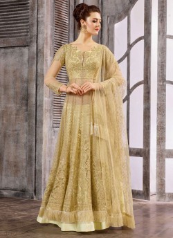 Gold Net Embroidered Skirt Kameez 1611-1619 1618 By Bela Fashion