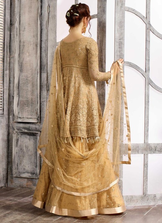Beige Net Embroidered Skirt Kameez 1611-1619 1619 By Bela Fashion